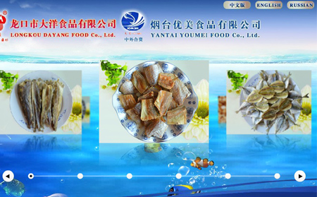 龙口市大洋食品有限公司