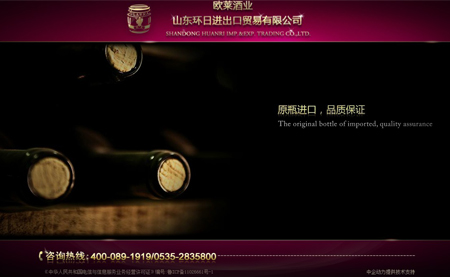 山东环日进出口贸易有限公司