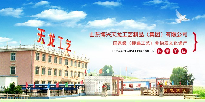 山东博兴天龙工艺制品有限公司
