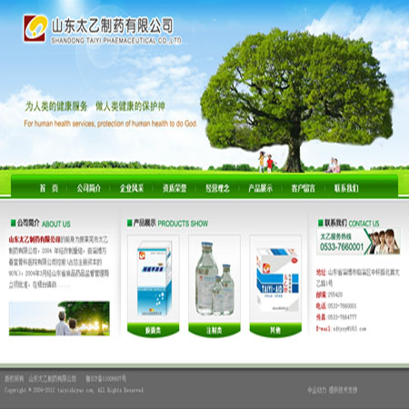 山东太乙制药有限公司
