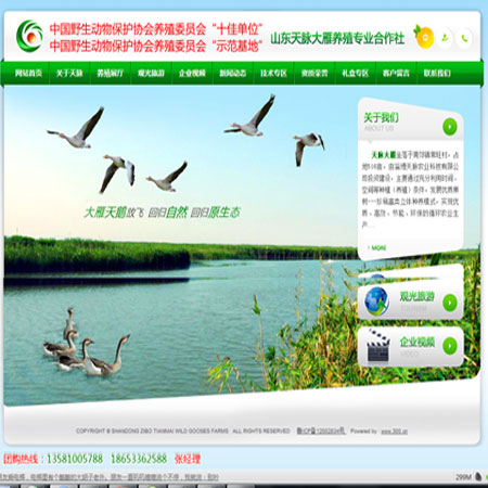 山东天脉大雁养殖专业合作社